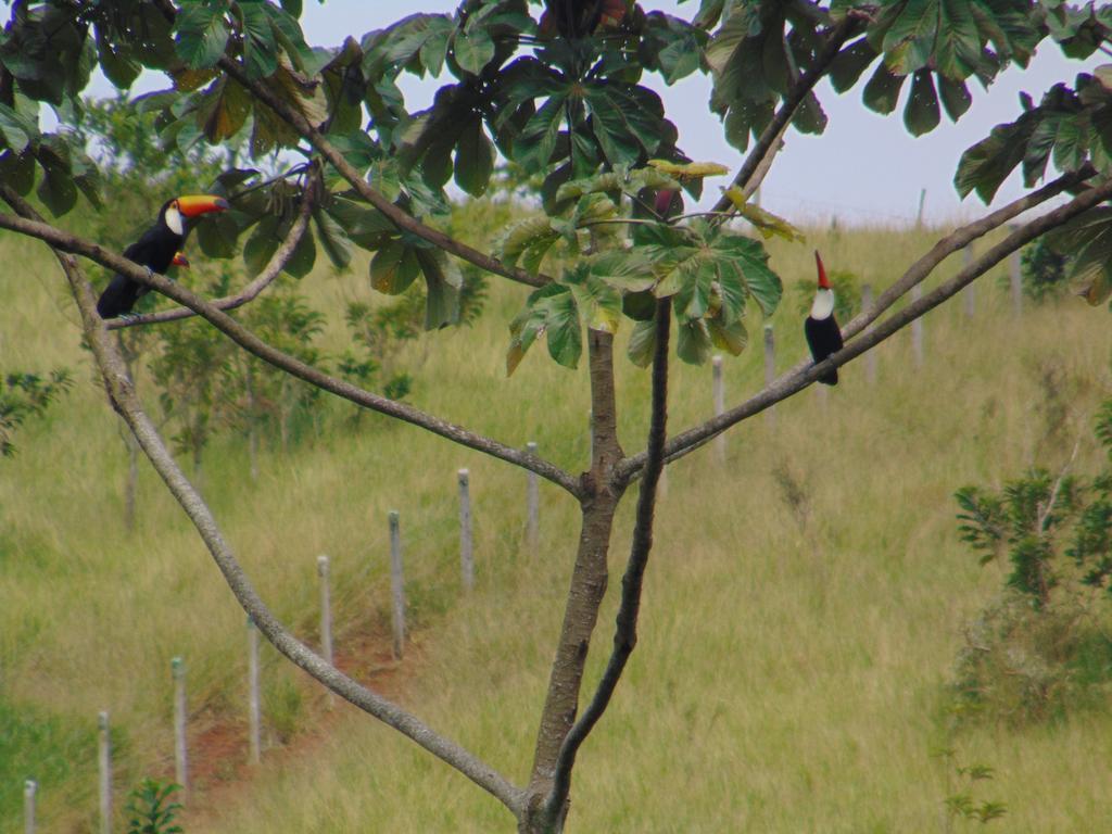 Pousada Do Mendonca Juiz de Fora Dış mekan fotoğraf